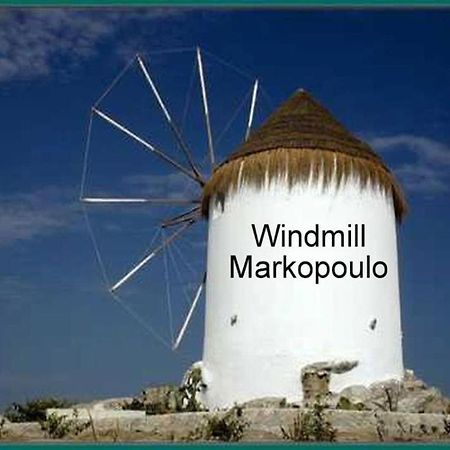 Athens 24-Hours Hostel #Athensairport #Latecheck-In #Privatetransportservice #Groups #Downtown Markopoulo Mesogaias Exterior photo
